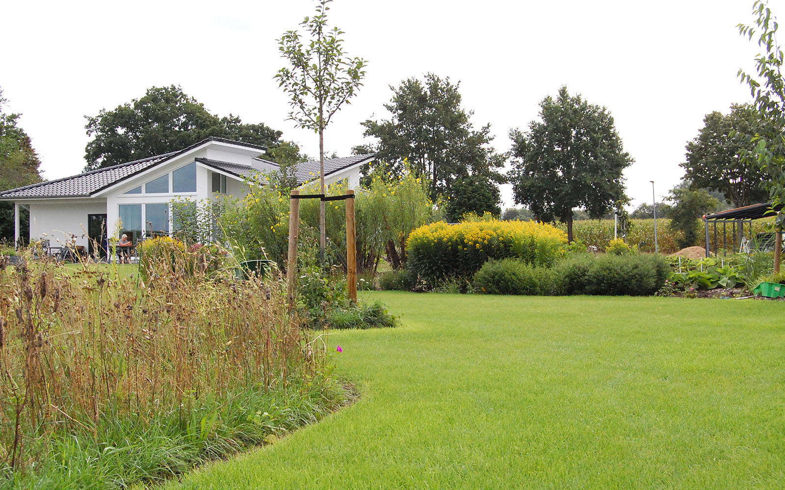 Geschwungene Beete, natürliche Optik im Garten