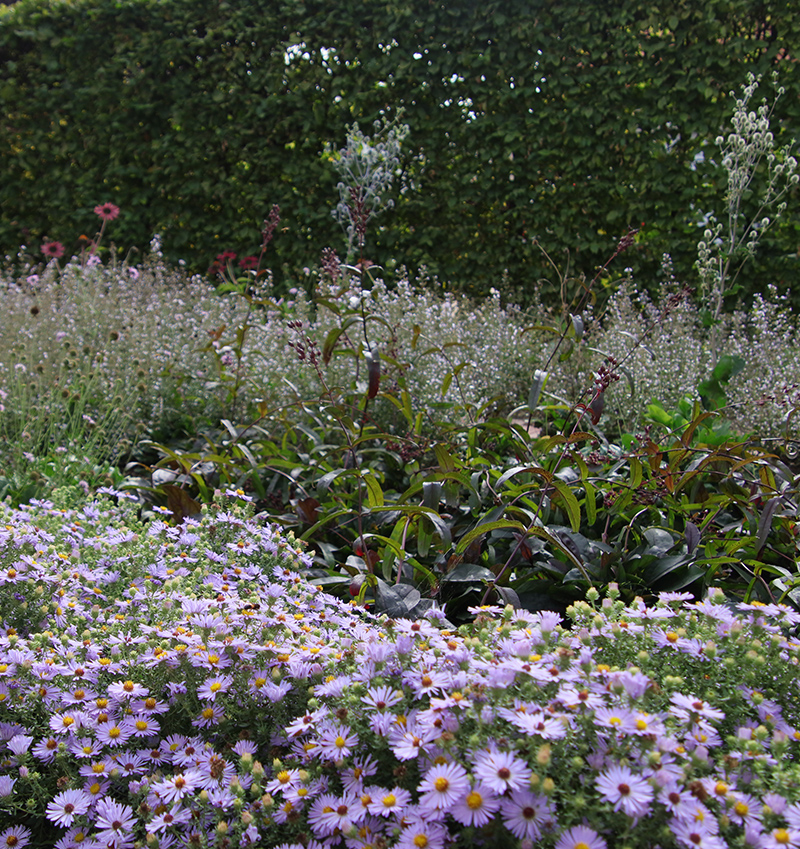 Feine Strukturen in der Gartenplanung