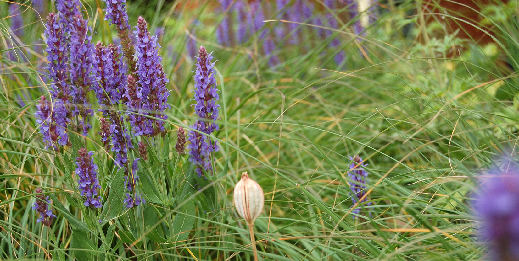 Gartenneugestaltung und Beratung mit Elke Lilje